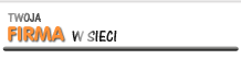 Twoja firma w sieci